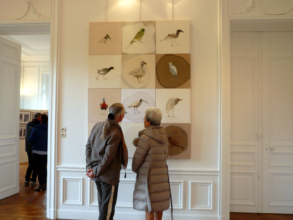 La fête de la science, La maison des arts, Brunoy, Matifat