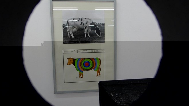 exposition, galerie, air de paris, pierre joseph, jef geys, maintenant, vincent romagny, francis mary, fluxus, endless photographs