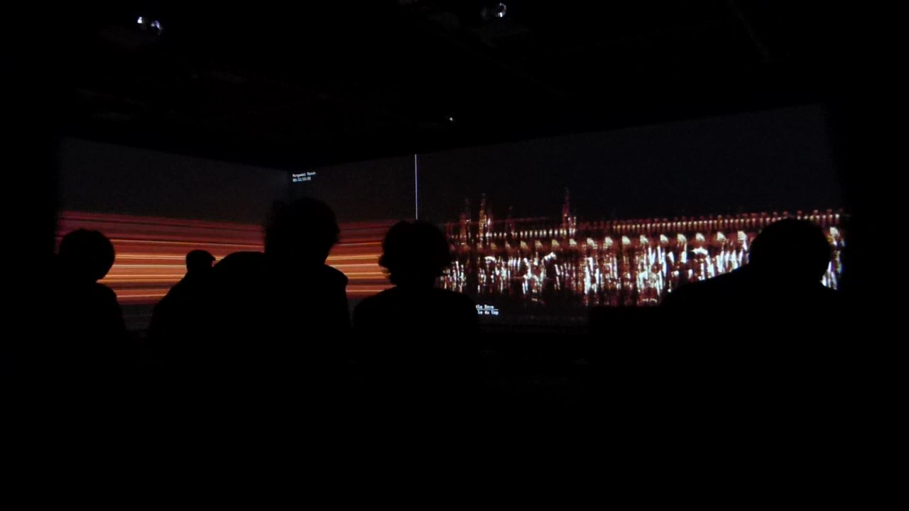 fondation cartier, art contemporain, le grand orchestre des animaux, bernie krause