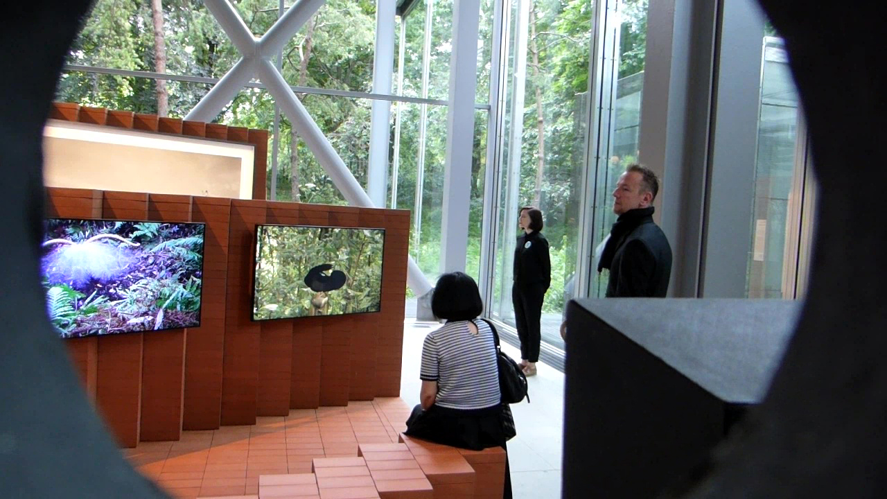 fondation cartier, art contemporain, le grand orchestre des animaux, bernie krause