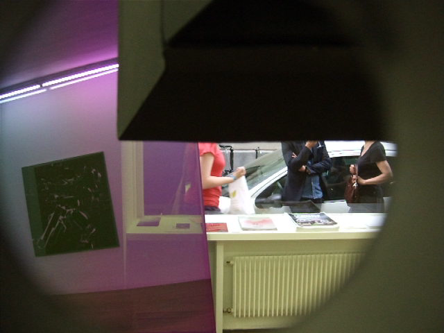 galerie art concept, dominique figarella, raphael hefti