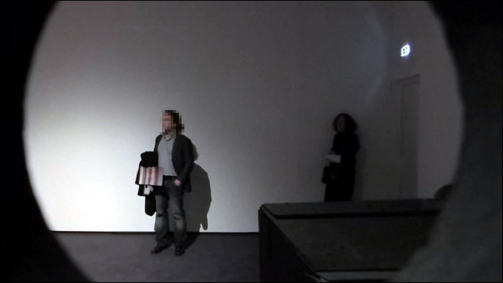 grand_palais, galeries_nationales, bill_viola, artiste, video, jerome_neutres, kira_perov, installation, rmn