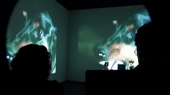 grand_palais, galeries_nationales, bill_viola, artiste, video, jerome_neutres, kira_perov, installation, rmn