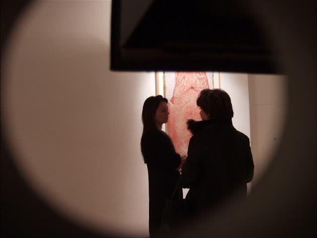 galerie in situ, fabienne leclerc, tristes utopies, andrea blum, damien deroubaix, mark dion, bruno perramant, patrick van caeckenbergh