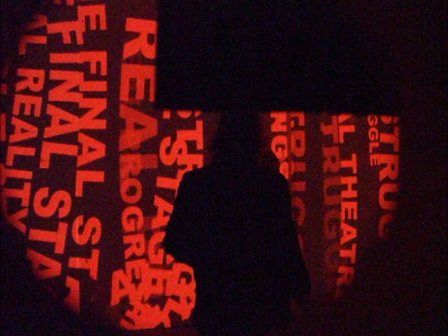 biennale de lyon, le spectacle du quotidien