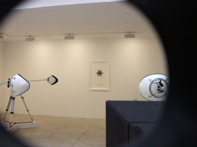 didier faustino, the wild things, galerie, michel rein, bambou, cca, kitakuyshu