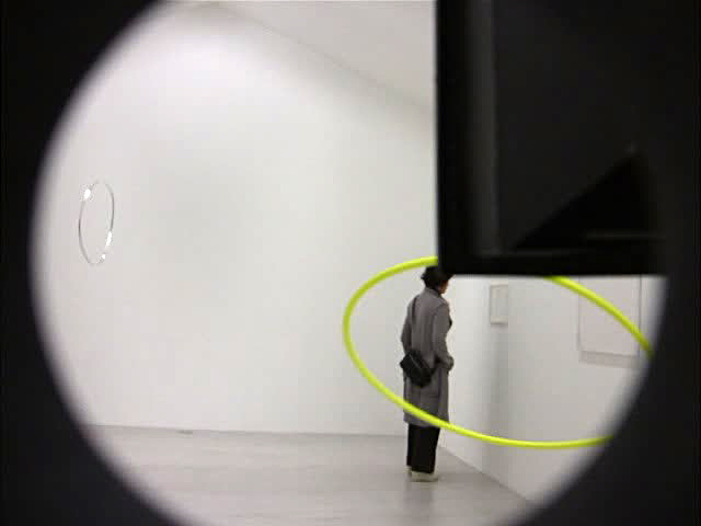 galerie emmanuel perrotin, how to lie, lionel estève, pierre-évariste douaire