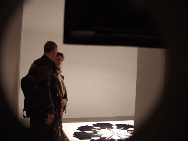 le plateau, frac île-de-france, name or number, ulla von brandenburg, xavier franceschi