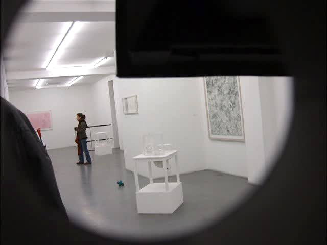 marie-jeanne caprasse, galerie polaris, christian lhopital, opening night